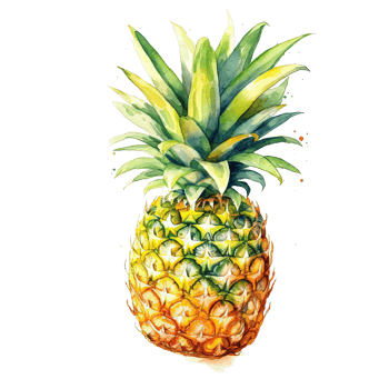 Pineapple watercolor. Illustration png