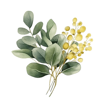 Watercolor green and golden eucalyptus leaves. Illustration png