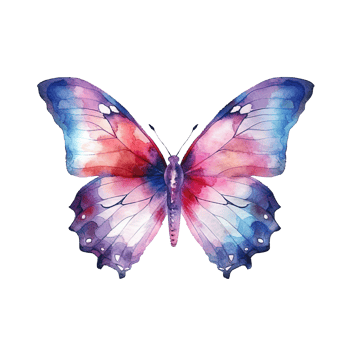Watercolor butterfly. Illustration png