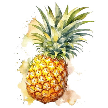 Pineapple watercolor. Illustration png
