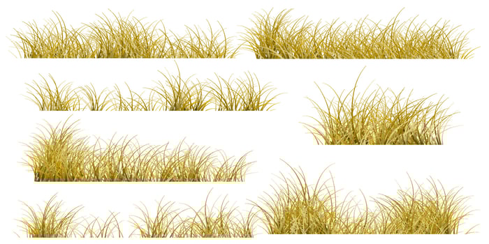 autumn grass set vector
