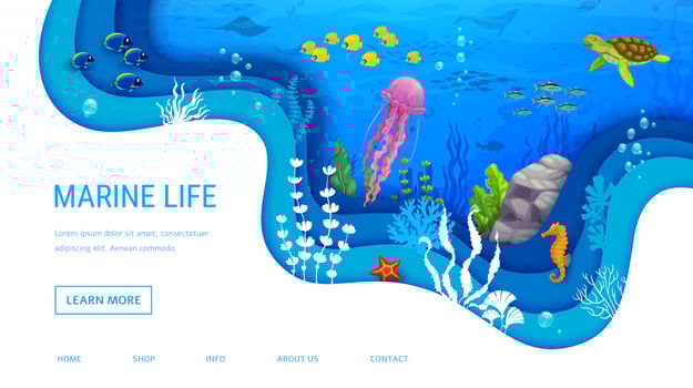 Landing page cartoon sea turtle, and tropical fish vector