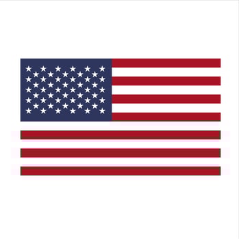 illustration of elements and symbols related to united states america vector