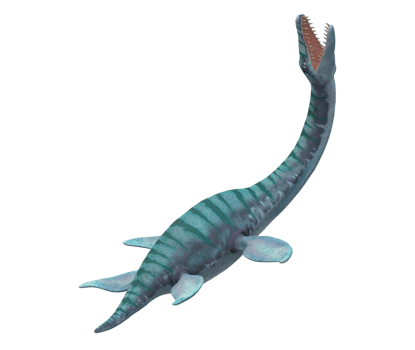 Plesiosaurus Dinosaur isolated on a Transparent Background png