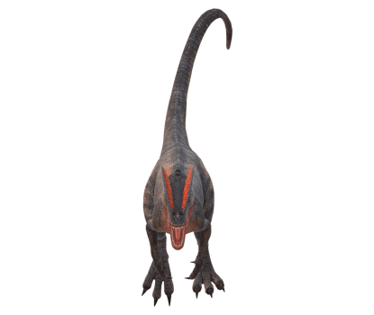 Velociraptor Dinosaur isolated on a Transparent Background png