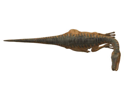 Dilophosaurus Dinosaur Isolated on a Transparent Background png