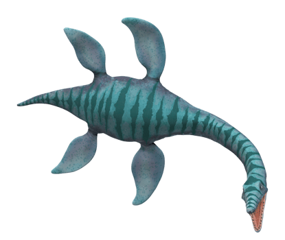 Plesiosaurus Dinosaur isolated on a Transparent Background png