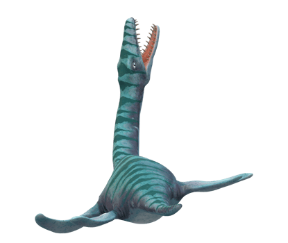 Plesiosaurus Dinosaur isolated on a Transparent Background png