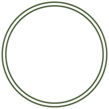 Glowing neon circle for your decoration. Neon light, round frame, blank space for text, ultraviolet spectrum, ring symbol, halo. png