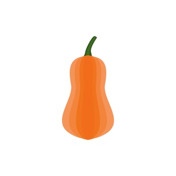 pumpkin flat design vector illustration isolated on white background