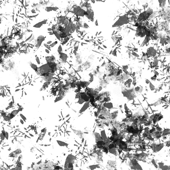 Grunge Texture Background png