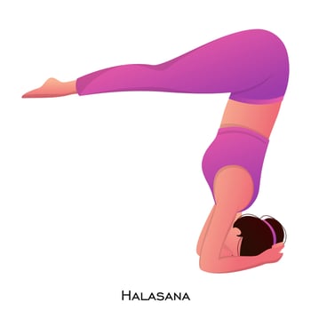 Character of young woman in halasana pose. vector