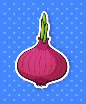 Bulb of red onion with green sprout. Healthy vegetarian food. Ingredient for salad. vector