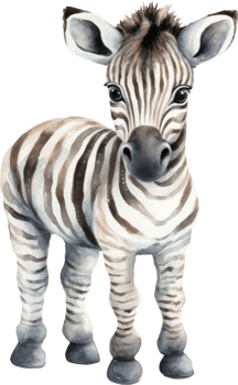Cute Zebra Watercolor Illustration. png
