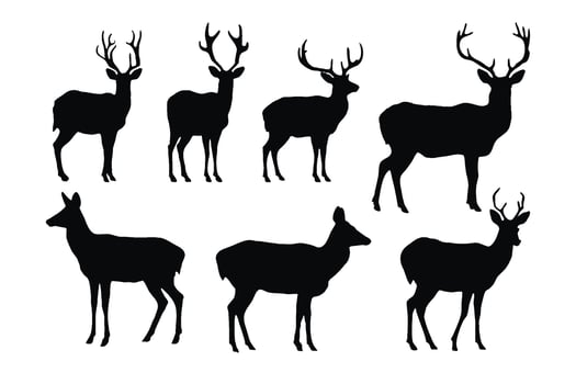 Deer silhouette vector collection on a white background. Beautiful male gazelle with big horns silhouette set design. Stag and reindeer standing, black and white silhouette vector bundle.