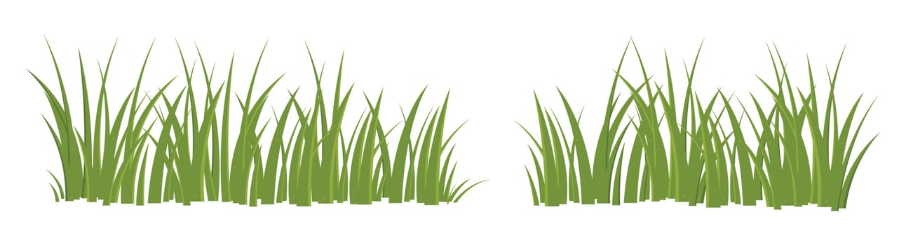 Cartoon grass leaves collection vector illustration isolated on white