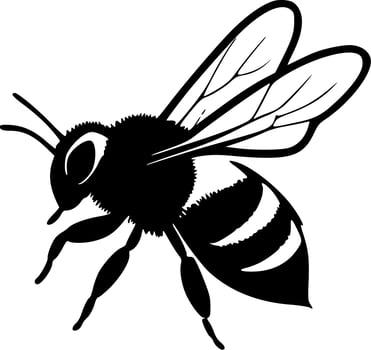 Honeybee, Black and White Vector illustration