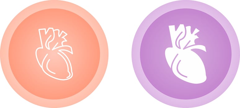 Heart Vector Icon