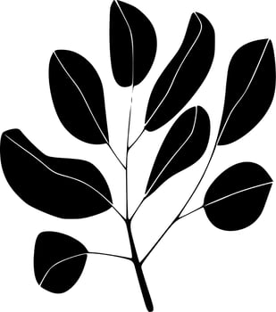 Eucalyptus - Black and White Isolated Icon - Vector illustration