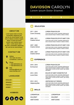 professional curriculum vitae template vector