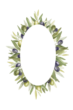 Olive branches, leaves and fruits. Round wreath of branches olive tree. Watercolor hand drawn illustration. For menu, packaging design, wedding invitation, save the date or greeting card. png