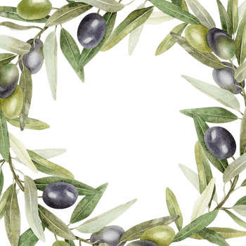 Olive branches, leaves and fruits. Round wreath of branches olive tree. Watercolor hand drawn illustration. For menu, packaging design, wedding invitation, save the date or greeting card. png