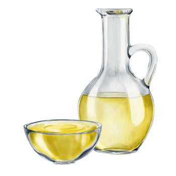 A bowl of olive oil. A jug of butter. Vegetarian organic food. Fresh organic extra virgin olive oil. Watercolor hand drawn illustration. Isolated. For menu, packaging design png