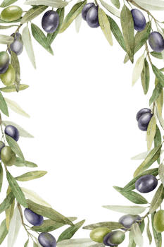 Olive branches, leaves and fruits. Wreath of branches olive tree. Watercolor hand drawn illustration. For menu, packaging design, wedding invitation, save the date or greeting card. png