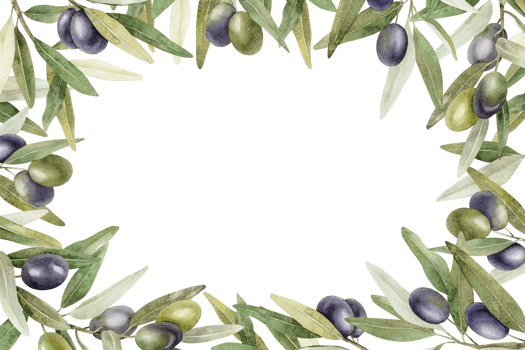Olive branches, leaves and fruits. Wreath of branches olive tree. Watercolor hand drawn illustration. For menu, packaging design, wedding invitation, save the date or greeting card. png