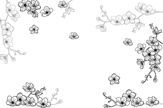 cherry blossom frame vector