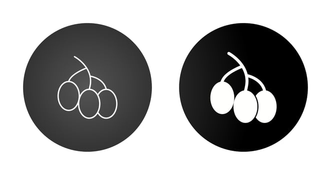 Berries Vector Icon