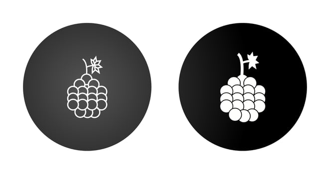 Grapes Vector Icon