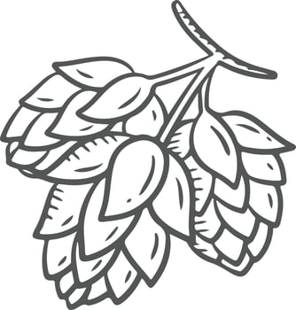 Hops hand drawn icon. Isolated on white background. Vector illustration.