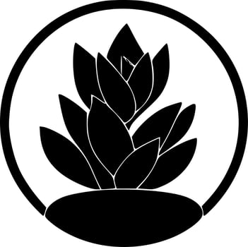 Succulent, Black and White Vector illustration