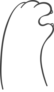 Cute cat paw hand gesture finger love heart sign cartoon doodle hand drawing png