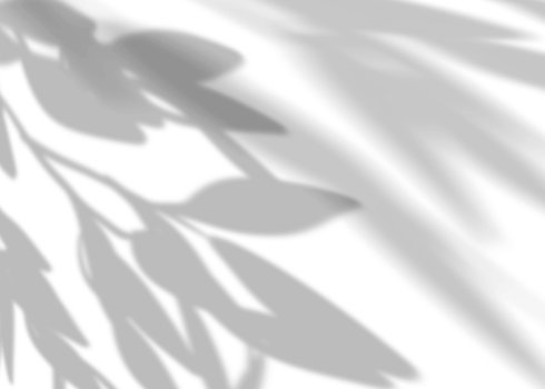 Leaves shadow overlay, isolated Branches leaves. png