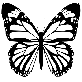 butterfly black and white png