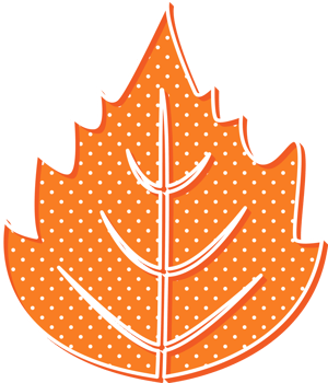 hand draw leaf png