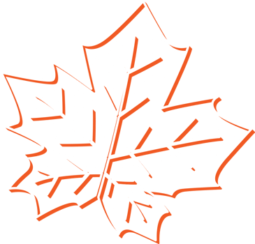 hand draw leaf png