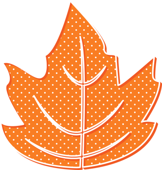 hand draw leaf png