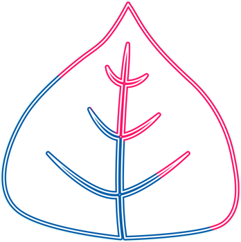 hand draw leaf png
