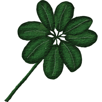 Tropical leaves Clip art Element Transparent Background png