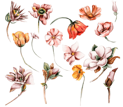 Watercolor set of fall flowers, leaves and berries. Hand drawn autumn leaves and elements. Hand drawn illustration of autumn. Perfect for scrapbooking, kids design, wedding invitation, posters. png