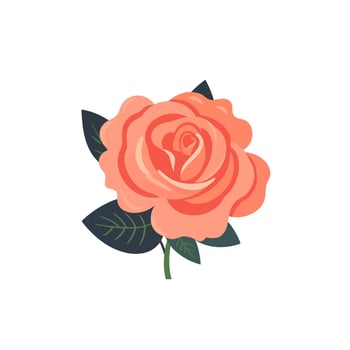 Flowers roses, red buds and green leaves. Isolated red rose. Vector illustration.