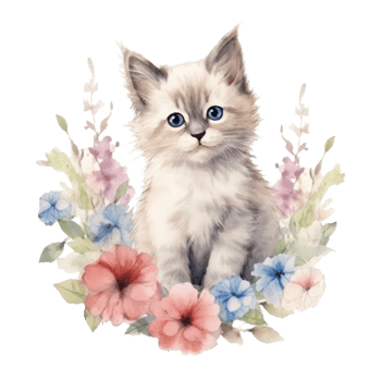 Watercolor painting of Ragdoll Kitten isolated transparent background, Digital art, image file format, png