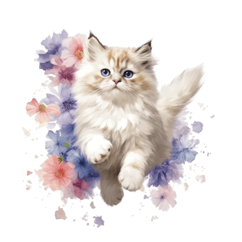 Watercolor painting of Ragdoll Kitten isolated transparent background, Digital art, image file format, png