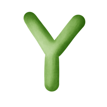 Y alphabet letter png