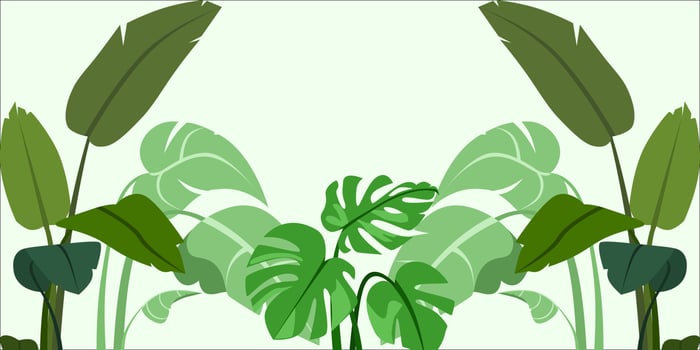 Foliage and botanical background. Green tropical forest wallpaper of monstera leaves, palm fronds, branches with hand drawn pattern. Exotic plant background for banners, prints, decorations, wall art. vector