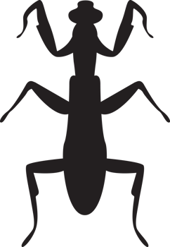 bug isolated silhouette png