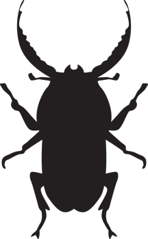 bug isolated silhouette png
